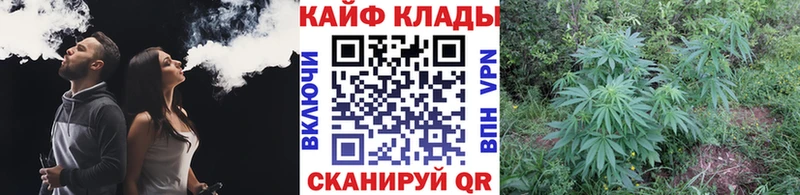 Наркошоп купить Cocaine  Меф мяу мяу  СК  Псилоцибиновые грибы  Амфетамин  ГАШ  Марихуана  Кировград