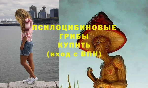 марки lsd Гусев