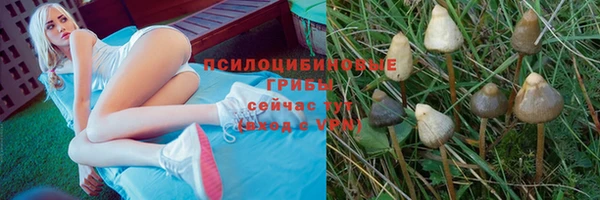 марки lsd Гусев