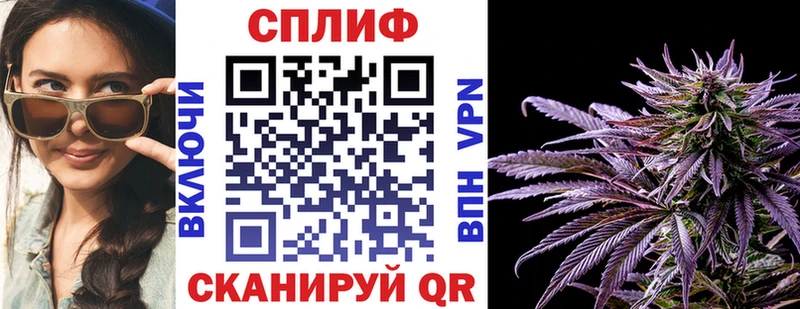 Купить закладки  Кировград  Канабис White Widow 